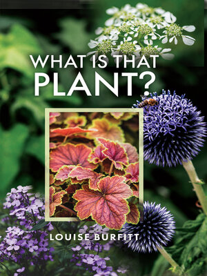 cover image of What is that Plant?